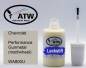 Preview: Chevrolet, Performance Gunmetal (matt/wheel), WA800U: 20ml Lackstift, von ATW Autoteile West.